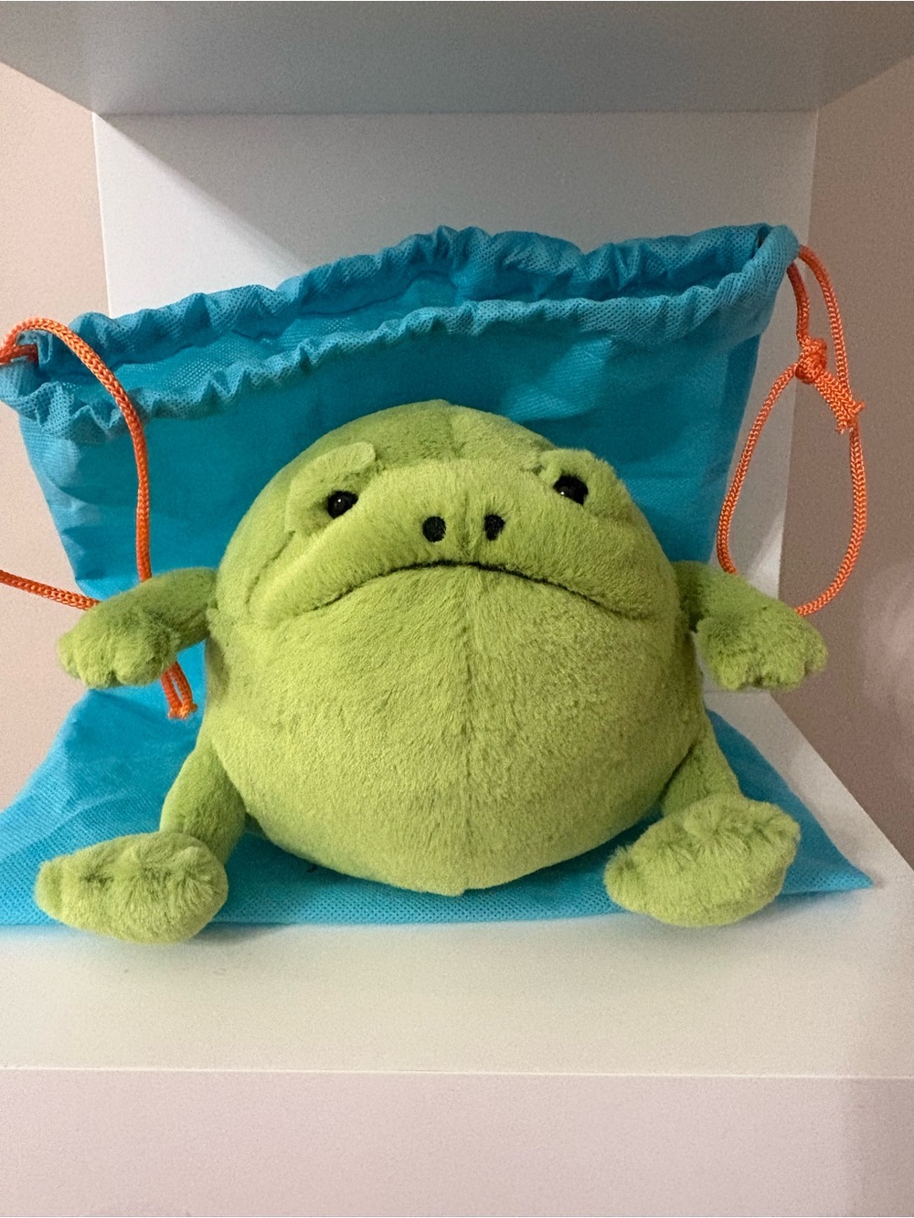 Jellycat Ricky the Rain frog. BNWT, tag cover, care instructions & Jellycat bag.